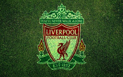 BET5体育讨论-波兰队训练基地条件简陋