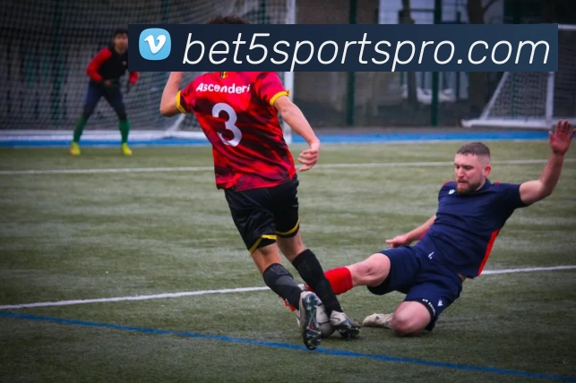 多媒体互动体验